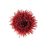  Щетка для УШМ ELITECH 1820.156400 204323, фото 1 