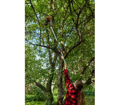  Плодосборник ELITECH Garden GT02 206432, фото 9 