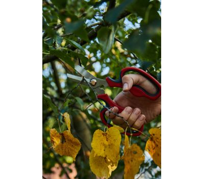  Ножницы для травы ELITECH Garden GS03 206416, фото 10 