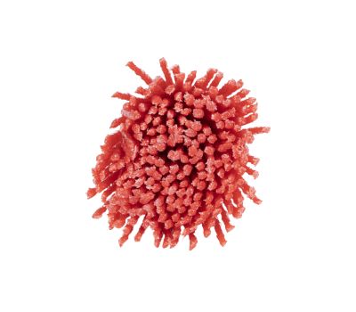  Щетка для дрели кистевая ELITECH 1820.155200 204316, фото 1 