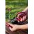  Ножницы для травы ELITECH Garden GS03, фото 10 