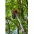  Плодосборник ELITECH Garden GT02 206432, фото 9 