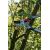  Сучкорез плоскостной усиленный ELITECH Garden GCT17 206430, фото 11 