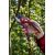  Секатор с плавным регулируемым захватом плоскостной ELITECH Garden PB 03 206426, фото 12 
