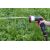  Пистолет-распылитель ELITECH GARDEN SG 010M 206065, фото 5 