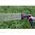  Пистолет-распылитель ELITECH GARDEN SG 008M 206063, фото 11 