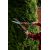  Ножницы для живой изгороди ELITECH Garden GHS01 206420, фото 2 